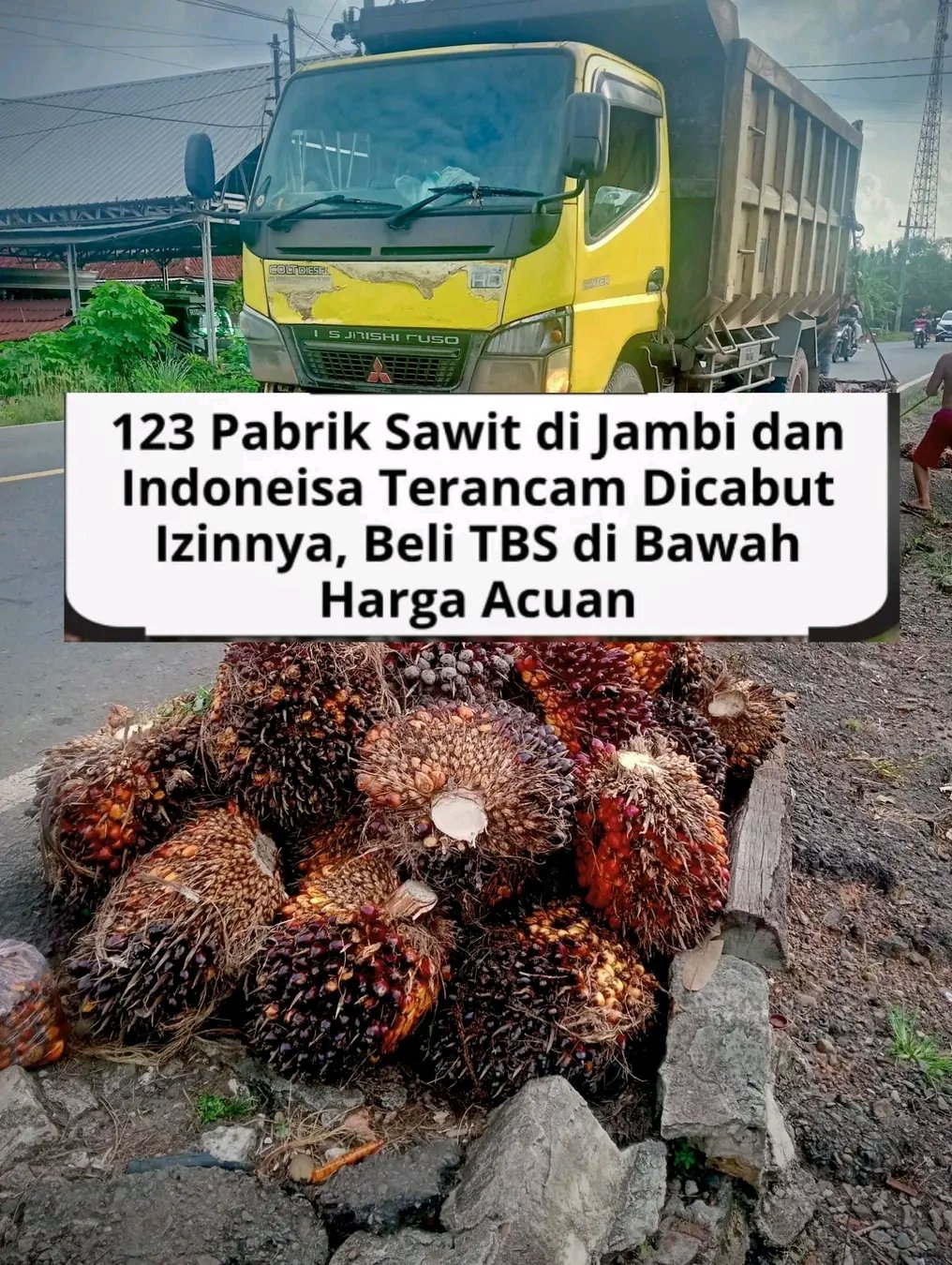 1780342641502